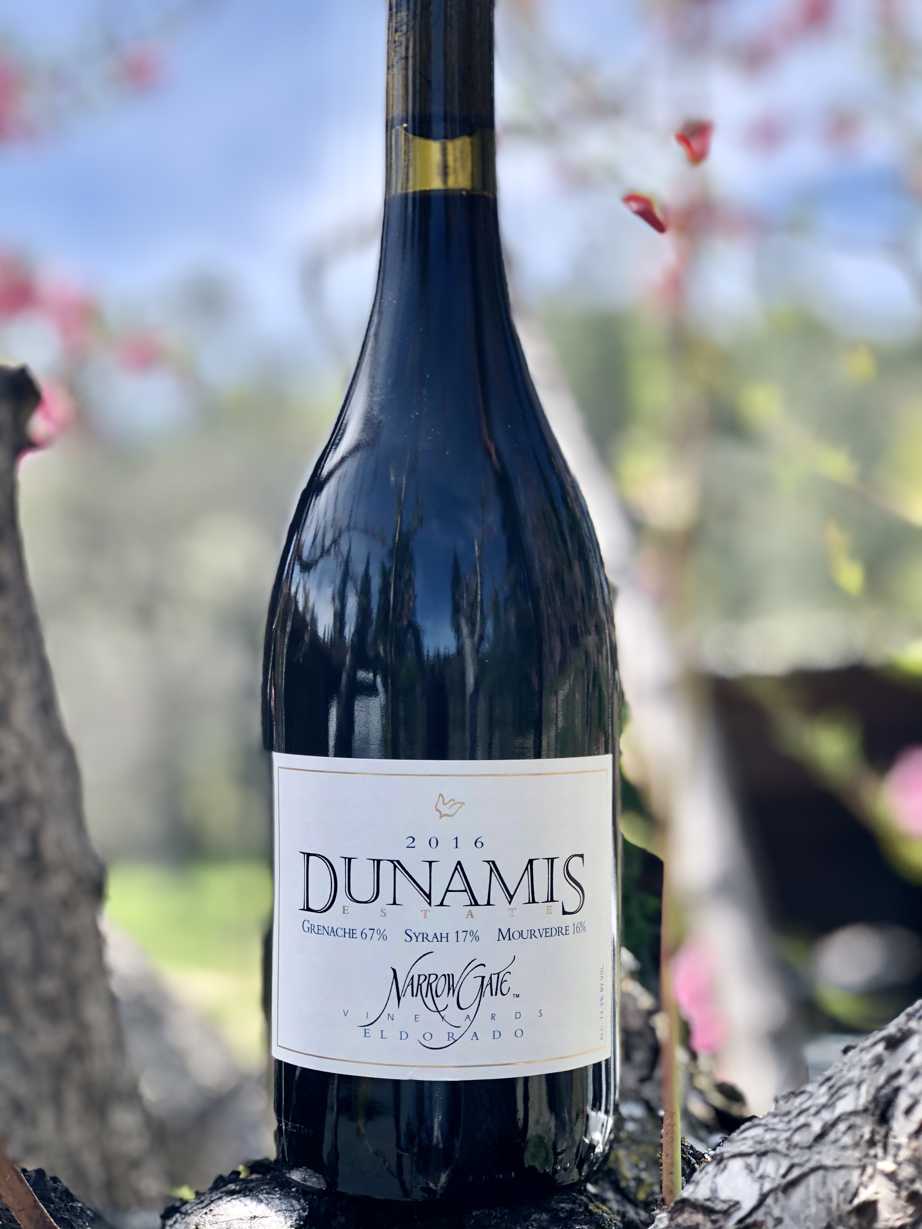 Product Image for 2016 Dunamis, Estate Library